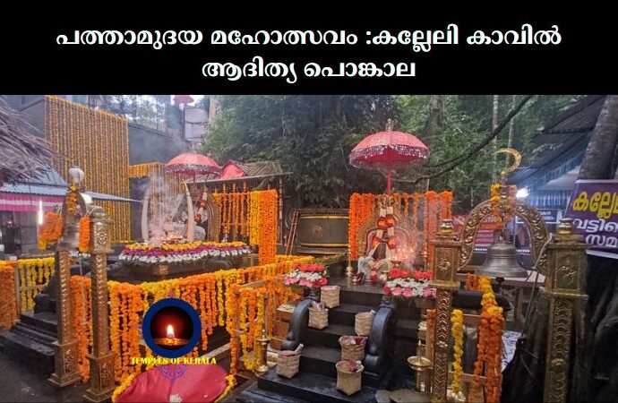 പത്താമുദയ മഹോത്സവം :കല്ലേലി കാവില്‍ ആദിത്യ പൊങ്കാല